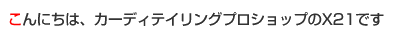 こんにちは、カーディテイリングプロショップのX21です