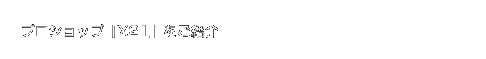 プロショップ「X21」をご紹介